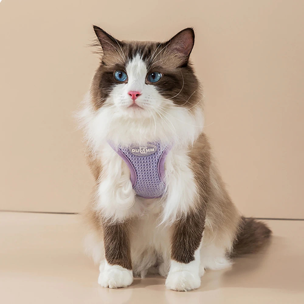 Purr-caution Vest Reflective Cat Harness with Leash