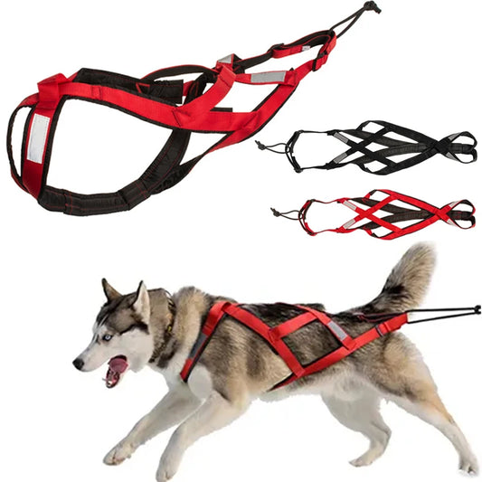 Sled-a-Pup Full-Body Harness' Adjustable And Reflective For Paws Of All Sizes