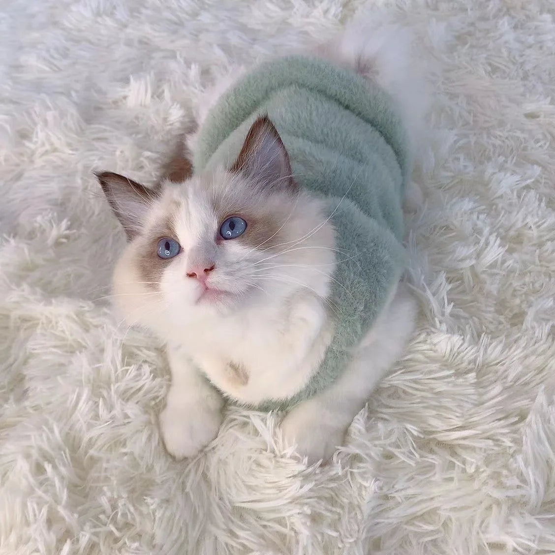 Fur-tastic Fluff Vest Cat Sweater