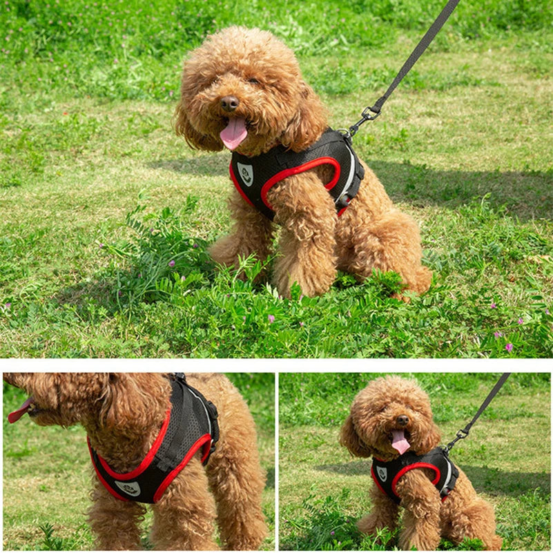 Ruff ‘n’ Ready' Reflective Harness For Small-Medium Paws