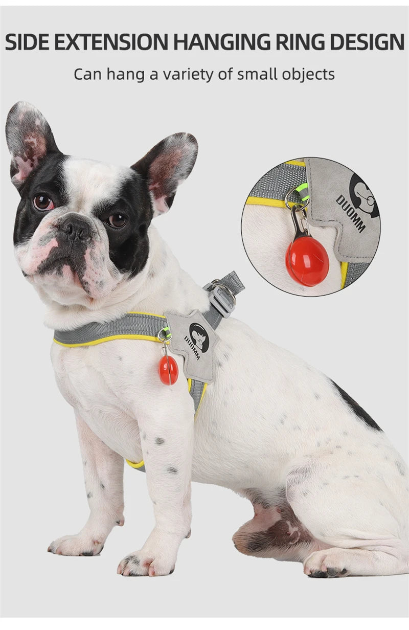 Glow and Behold' Reflective Adjustable Harness For Small-Medium Paws