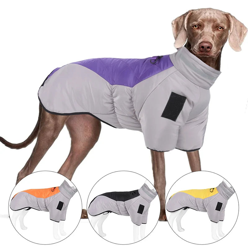 Ruff Rider' Reflective Weatherproof Jacket For Large Paws