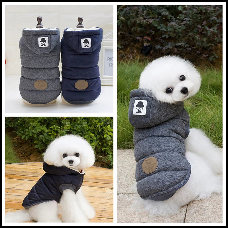 Woofin' Warmth Winter Jacket for Small-Medium Paws