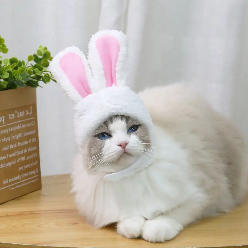 Fluff & Flop Bunny Ears Hat