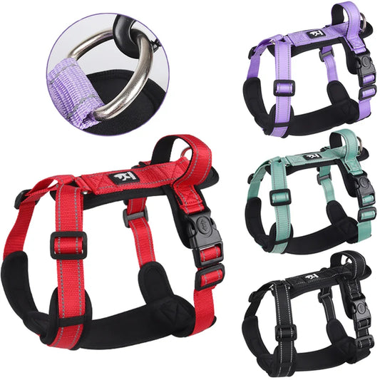 Handle with Flair' Adjustable Harness For Small-Medium Paws