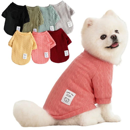 "The Knit-Wit" Sweater for Small-Medium Paws