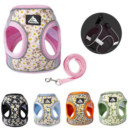 Twinkle Tails Harness' Reflective Leash Set For Small-Medium Paws