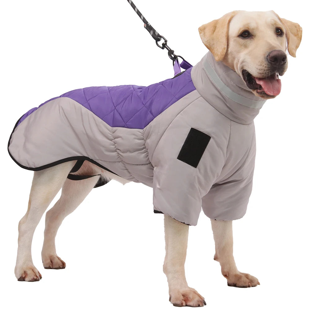 Ruff Rider' Reflective Weatherproof Jacket For Large Paws