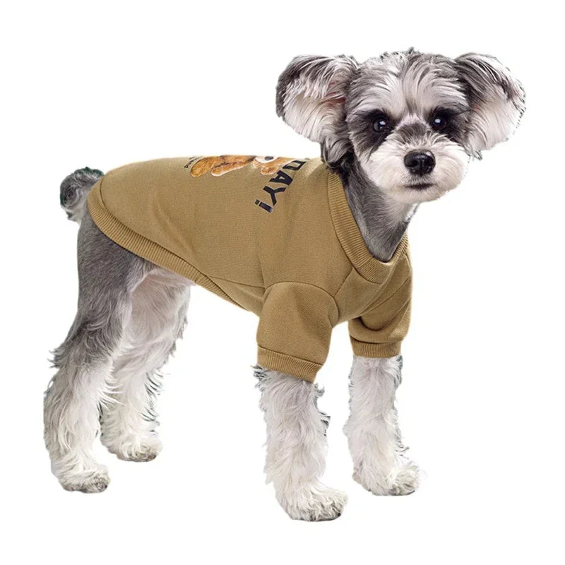 Every Day’s a Good Day' Sweatshirt For Small-Medium Paws