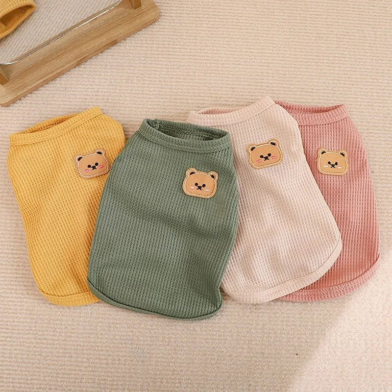 Bear-y Soft Kitty Wear