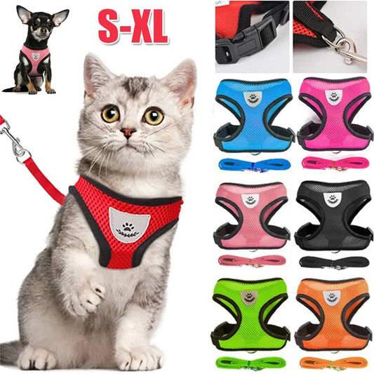 Leash the Wild Side' Adjustable Reflective Harness For Small - Medium Paws