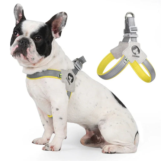 Glow and Behold' Reflective Adjustable Harness For Small-Medium Paws