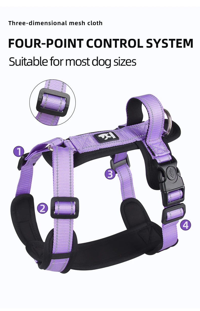 Handle with Flair' Adjustable Harness For Small-Medium Paws