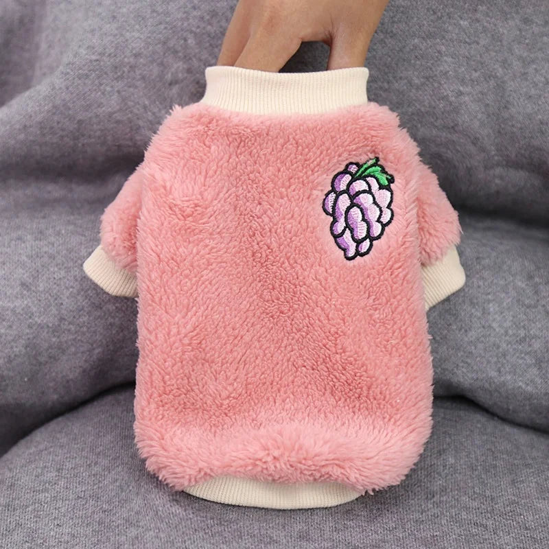 Plush and Fruity' Soft Winter Fleece For Small-Medium Paws