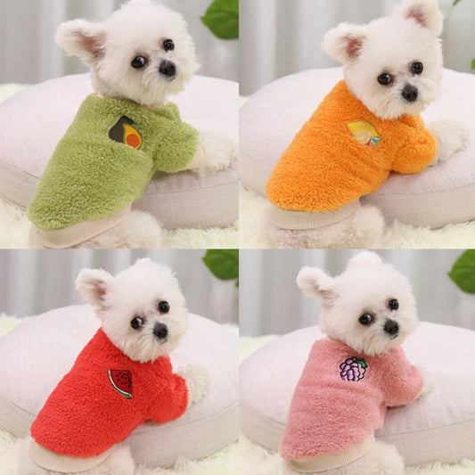 Plush and Fruity' Soft Winter Fleece For Small-Medium Paws