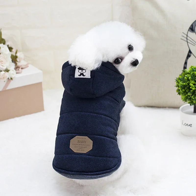 Woofin' Warmth Winter Jacket for Small-Medium Paws