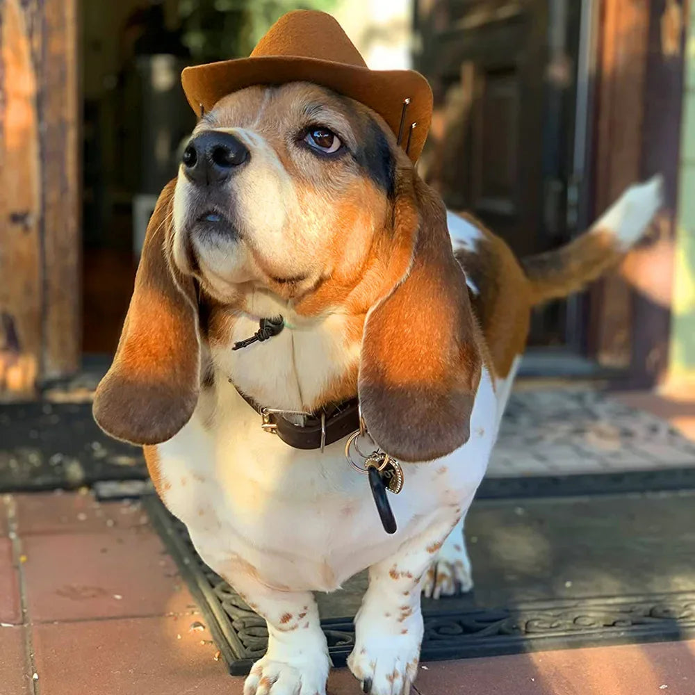 Howdy, Hound' Adjustable Cowboy Hat For Small-Medium Paws